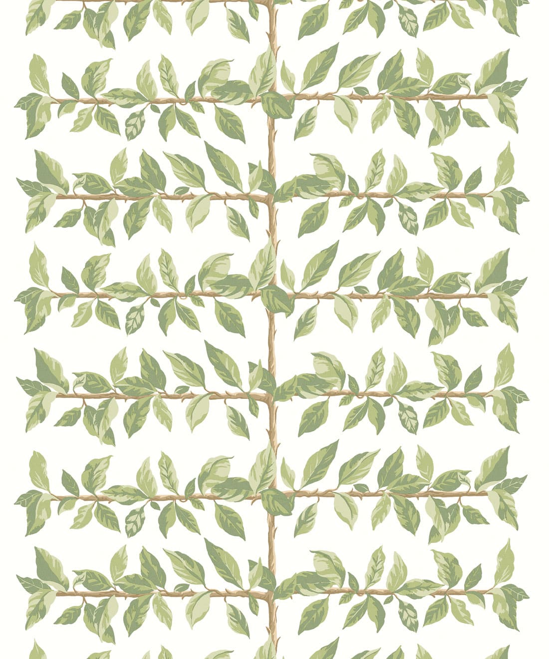 Pergola Wallpaper